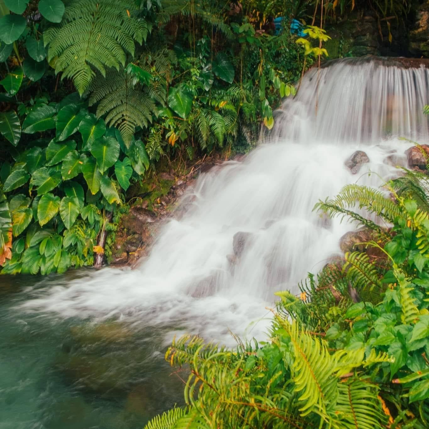 Bamboo Garden Resort - Sol Invictus