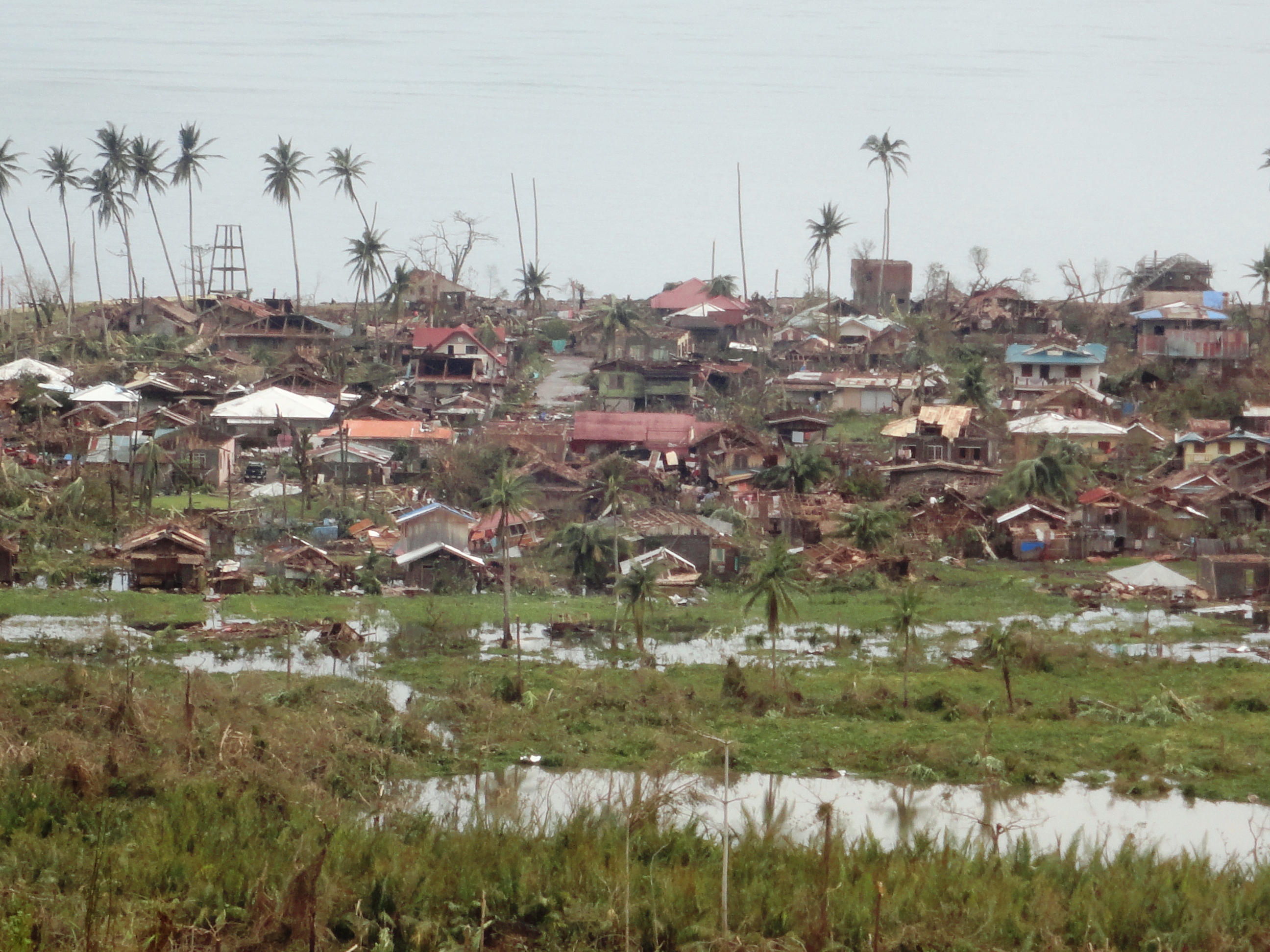 Typhoon Pablo (Bopha): A Province Tested